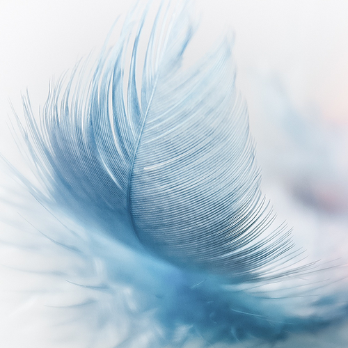 Be Conscious of Your Thoughts