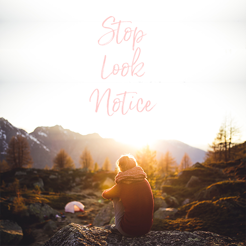 STOP , Look and Notice