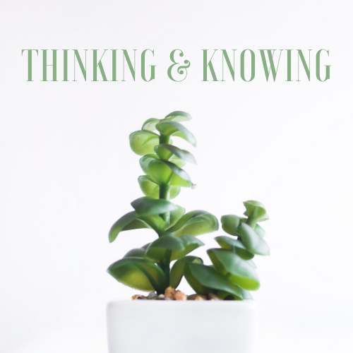 THE DIFFERENCE BETWEEN THINKING &amp; KNOWING