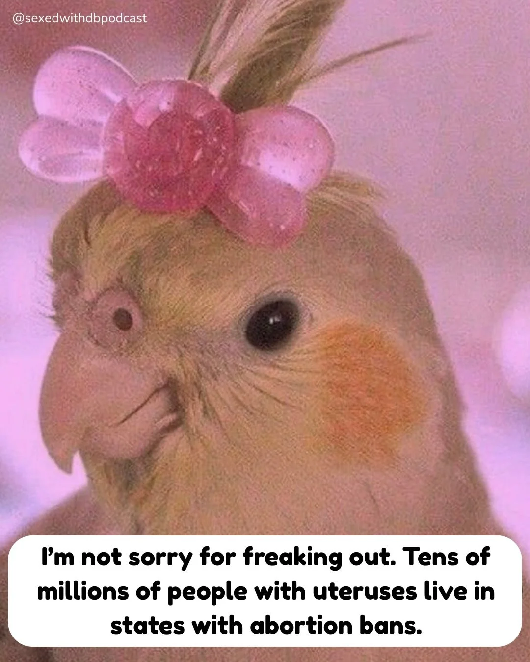 You should actually be grateful I&rsquo;m not freaking out even more&hellip;