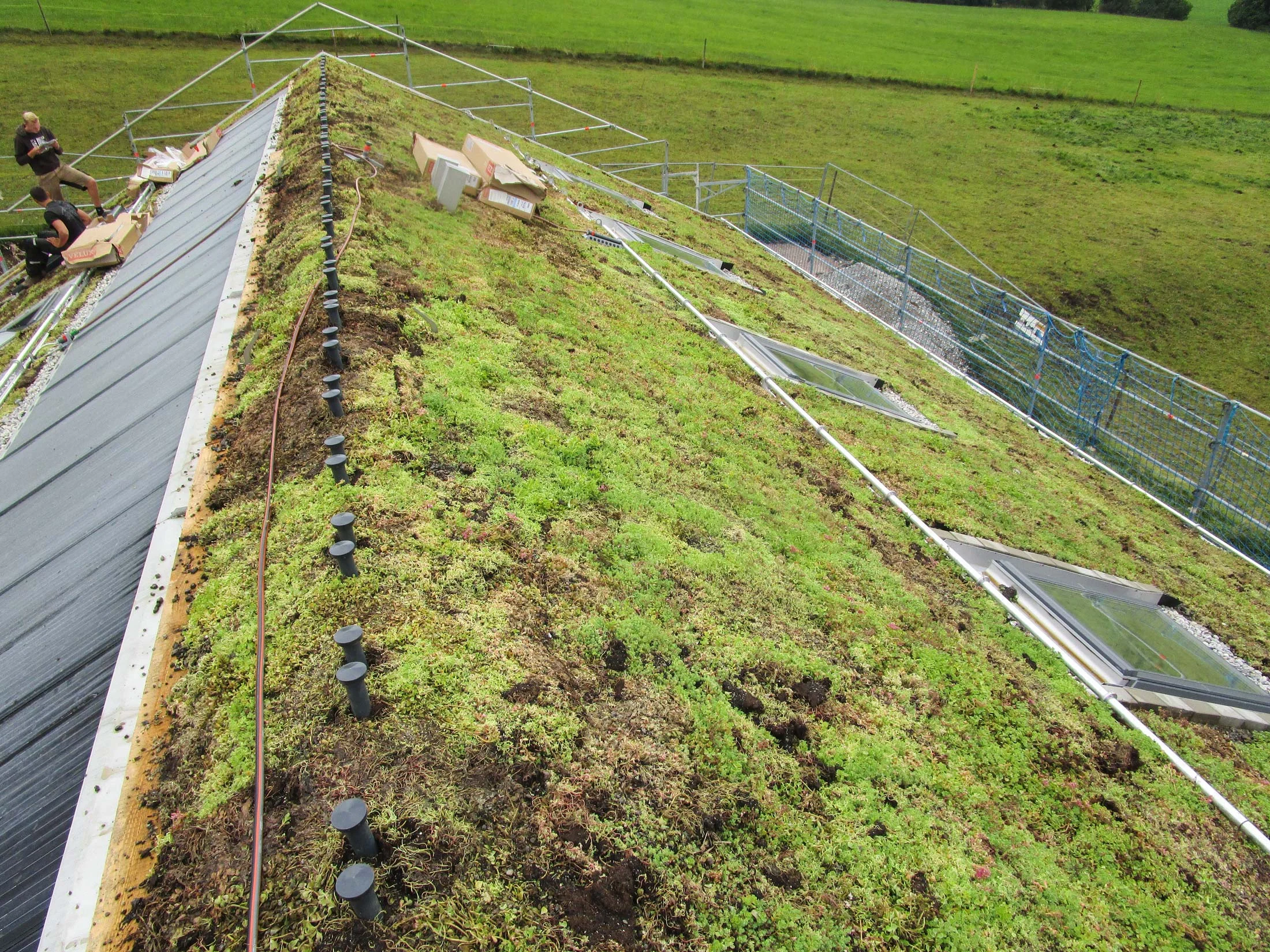 zimmerei-stoib-holzbau-gründach-steildach-satteldach-08.jpg
