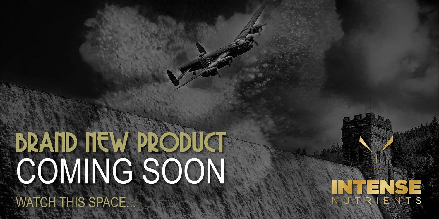 Coming-soon-Dam-busters.jpg