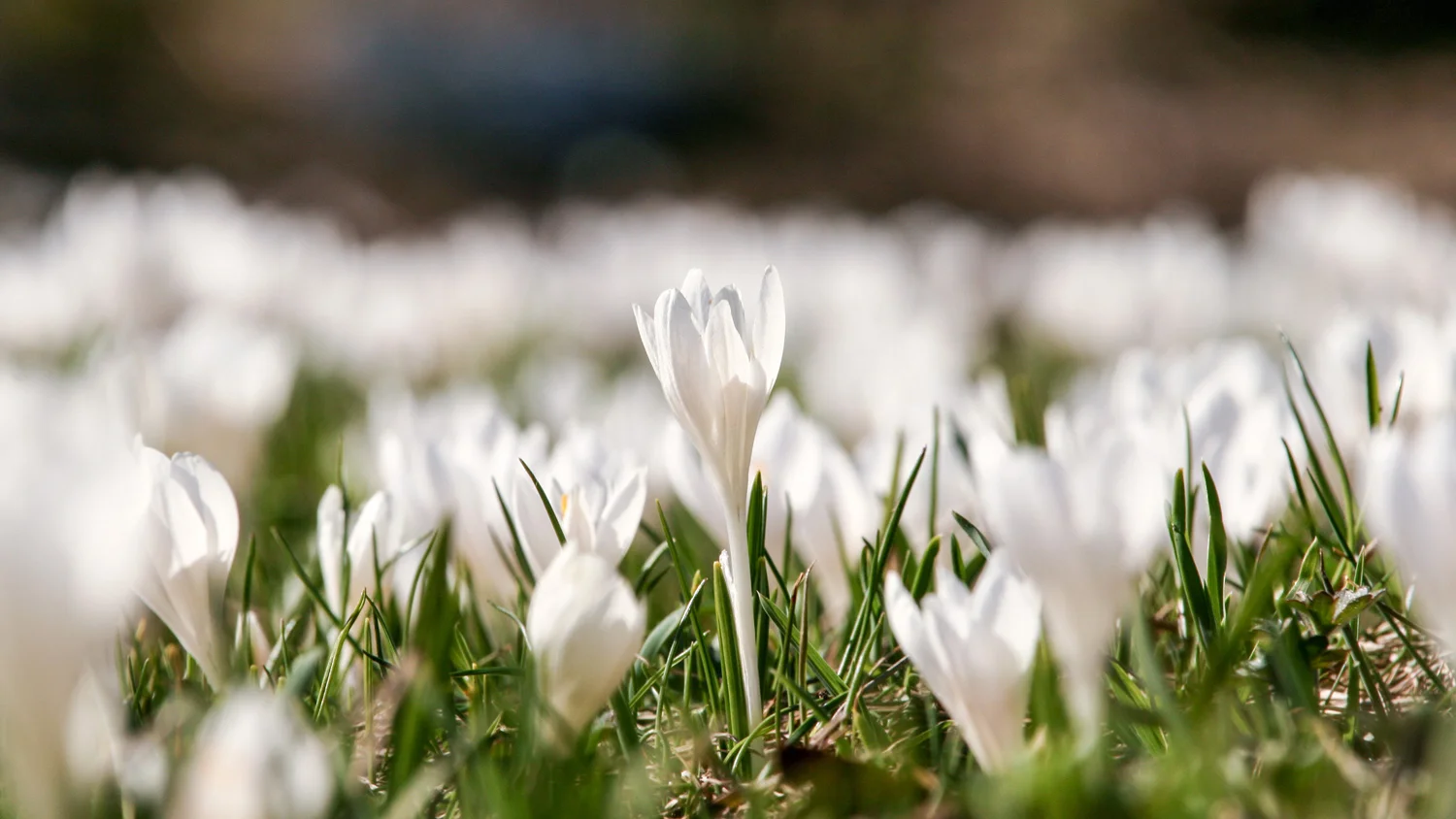 Lifetime-Therapy-Cornwall-Wellness-Weekend-Retreat-March-2019 (short).jpg