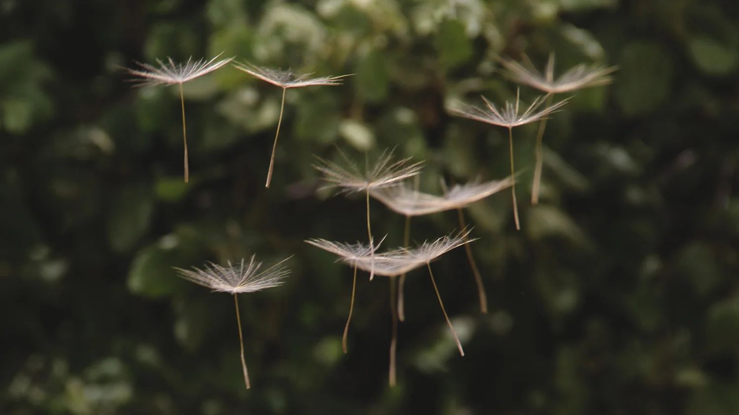 Body Acceptance & Intuitive Eating Workshop (November 2020)