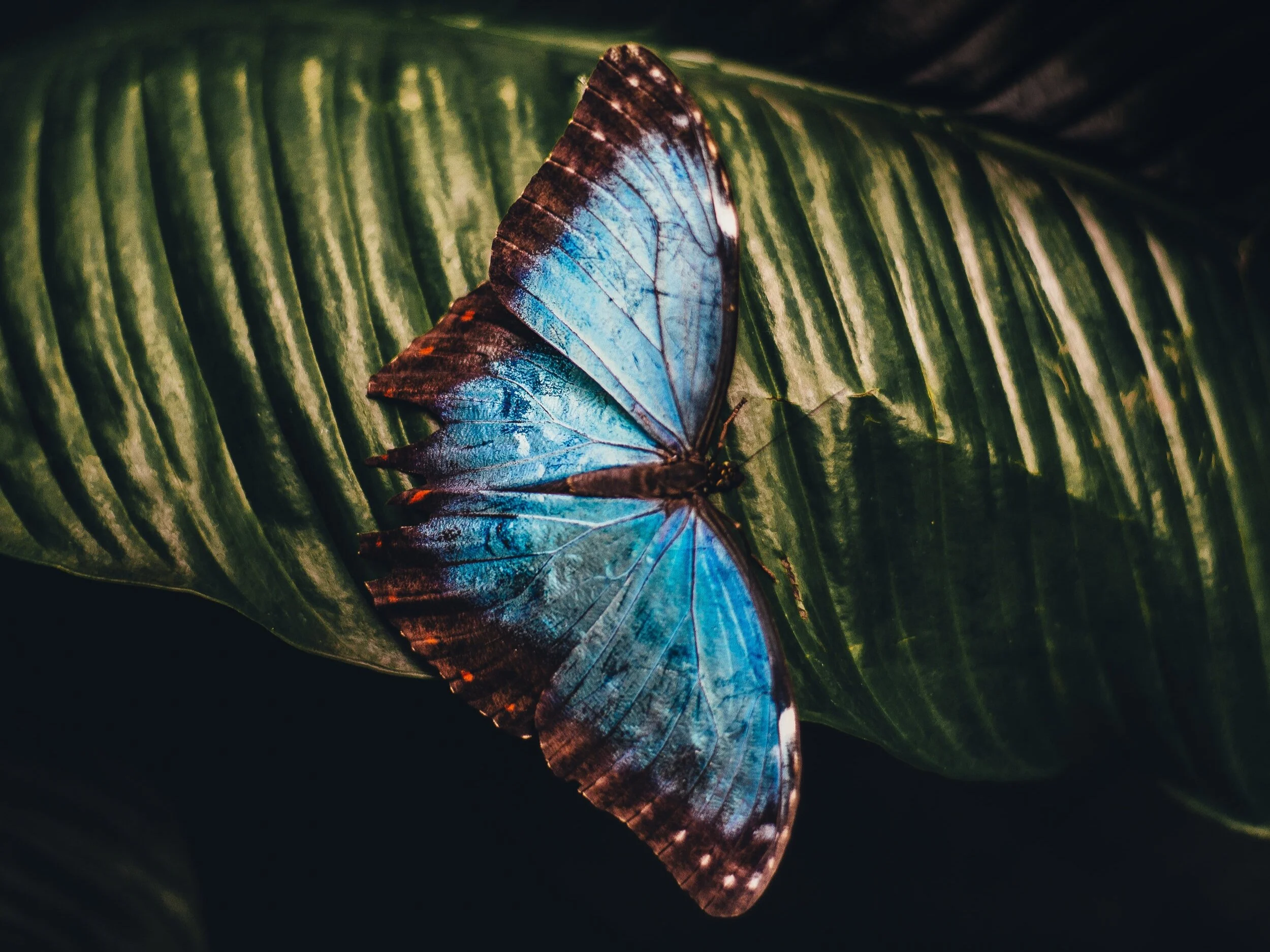 Emergence: how to reduce anxiety as we come out of lockdown