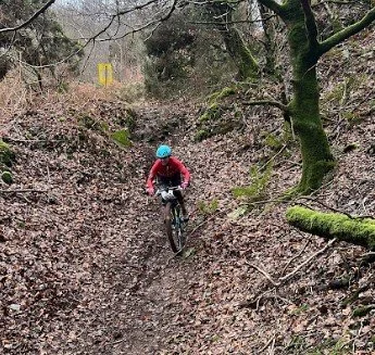 Screenshot 2026-01-18 181541.jpg