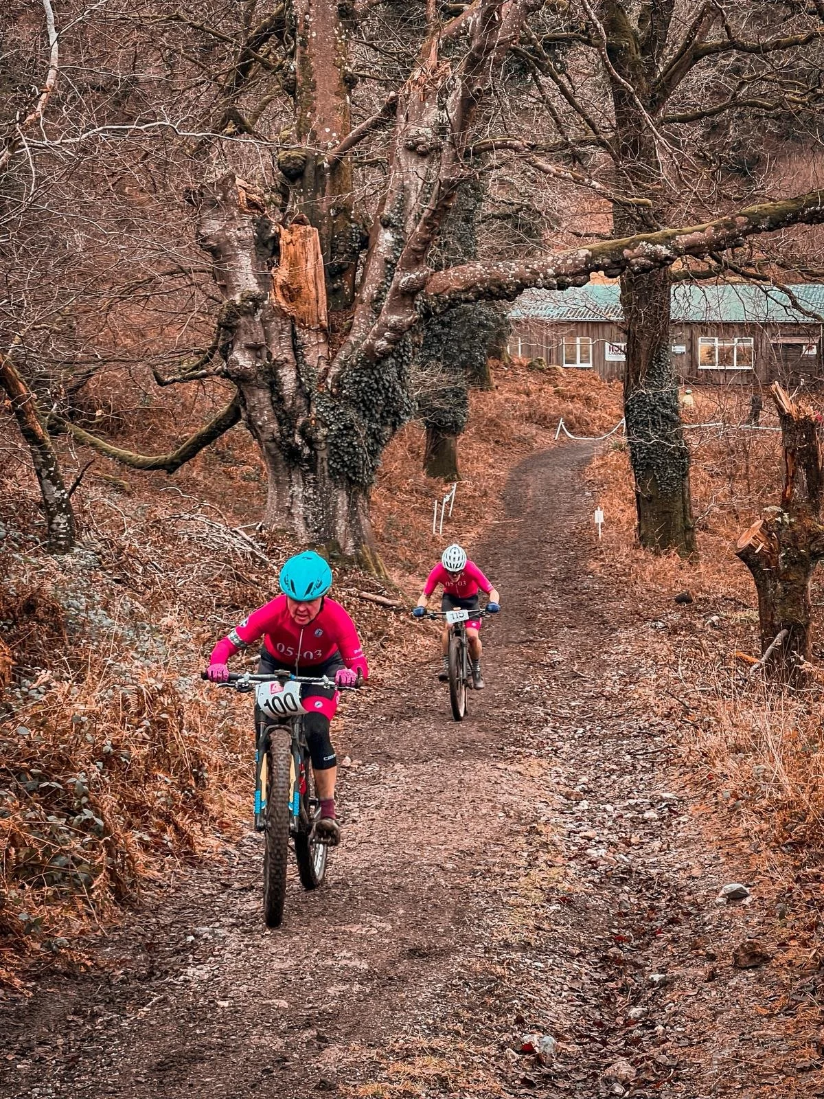 WhatsApp Image 2026-01-18 at 14.40.445.jpeg