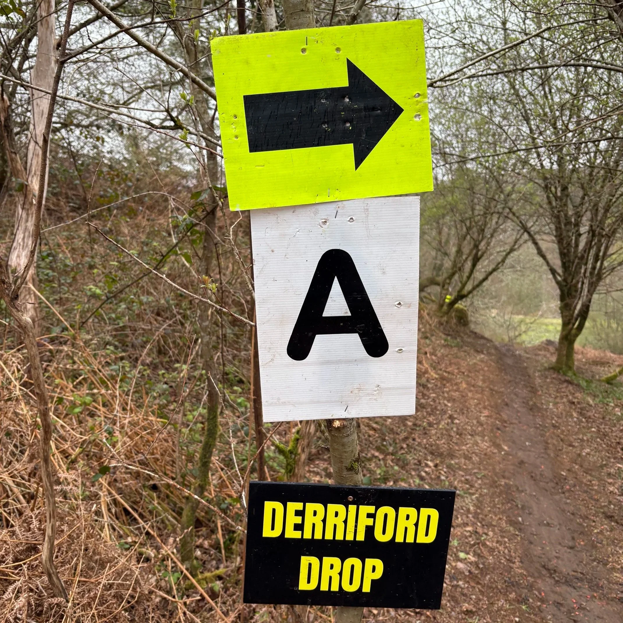 MTB XC Nationals Rnd1 - Newnham