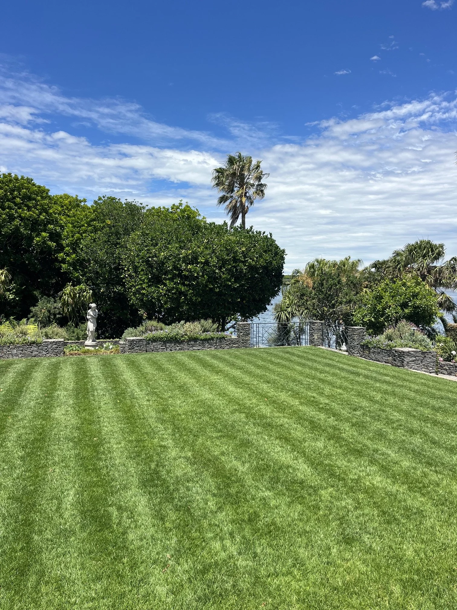 Auckland_Lawns_OurWork_03.jpeg