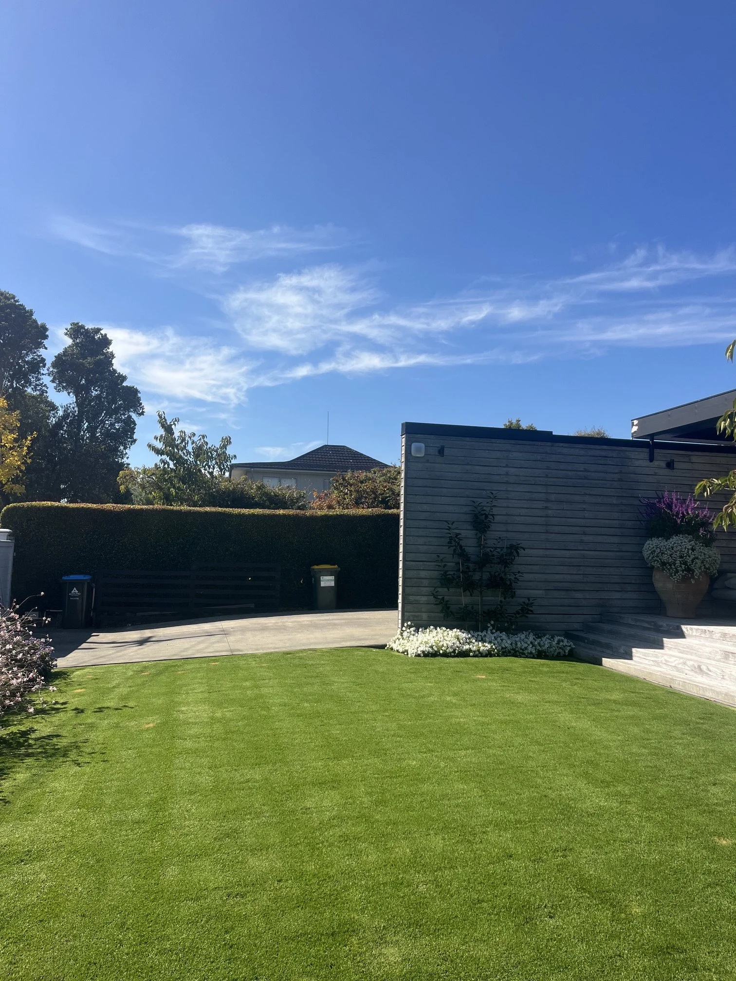 Auckland_Lawns_OurWork_05.jpeg