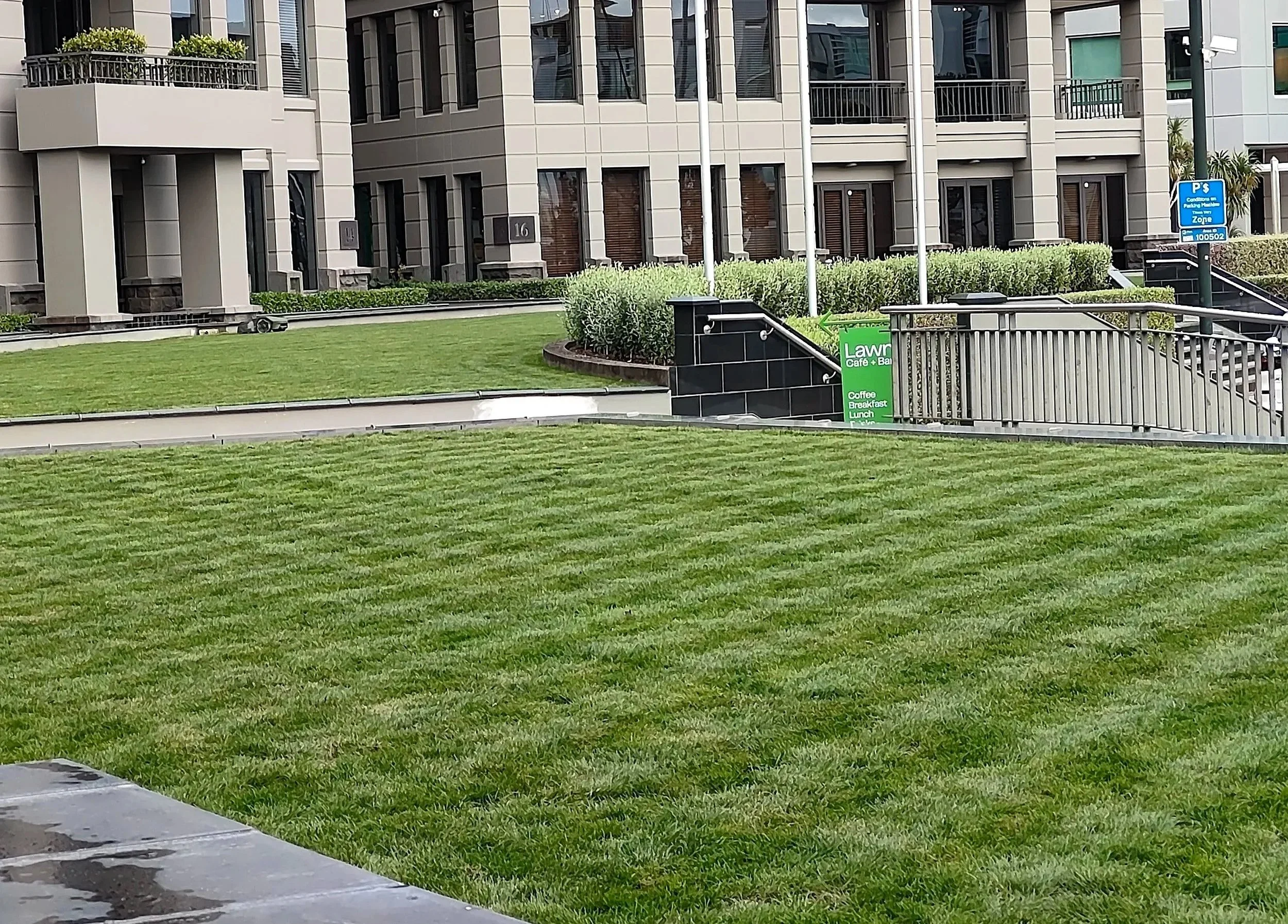 Auckland Lawns_Viaduct.jpg