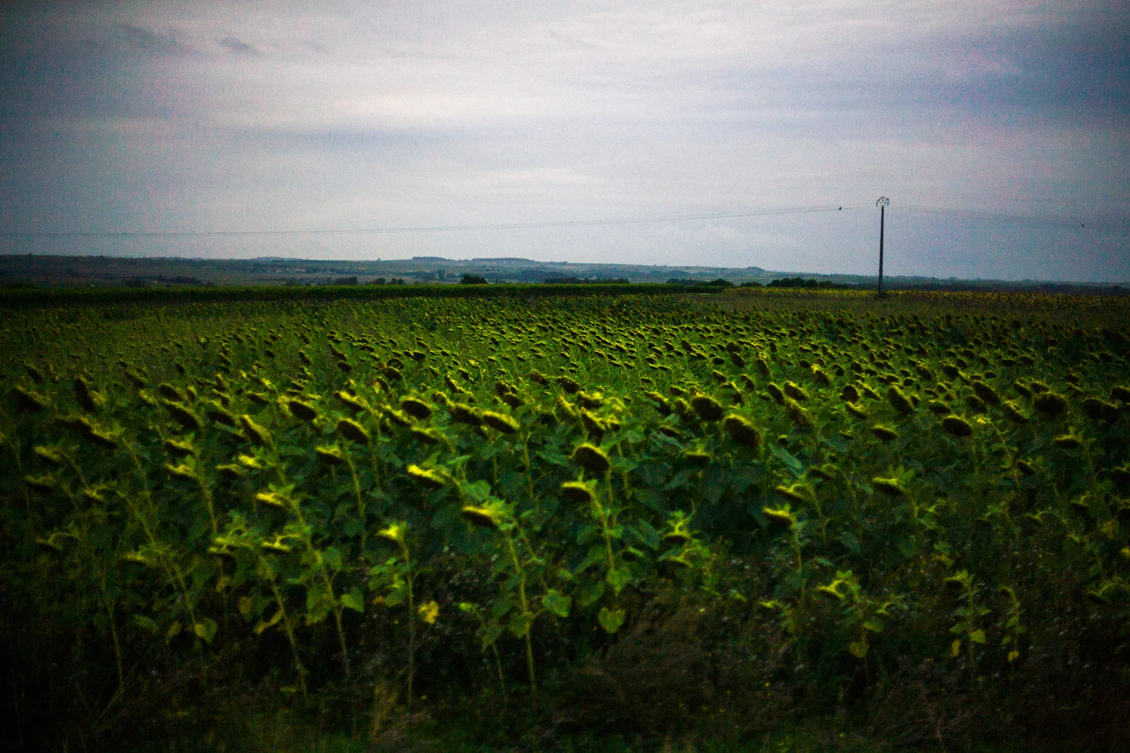 France
