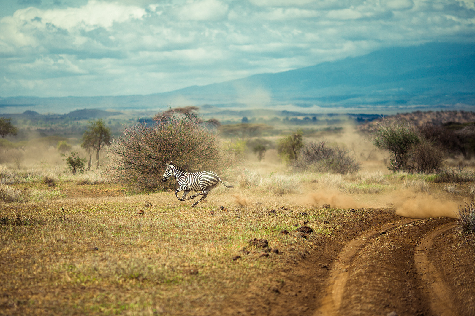  Tanzania 