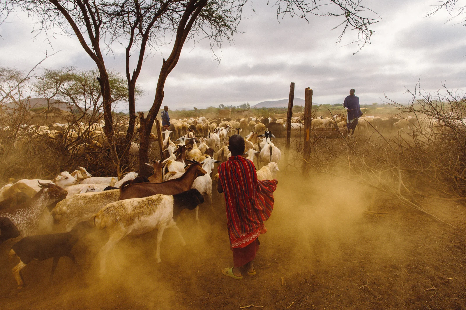 Tanzania