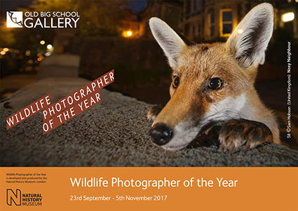 WPY_exhibition Flyer_cover_for_website.jpg