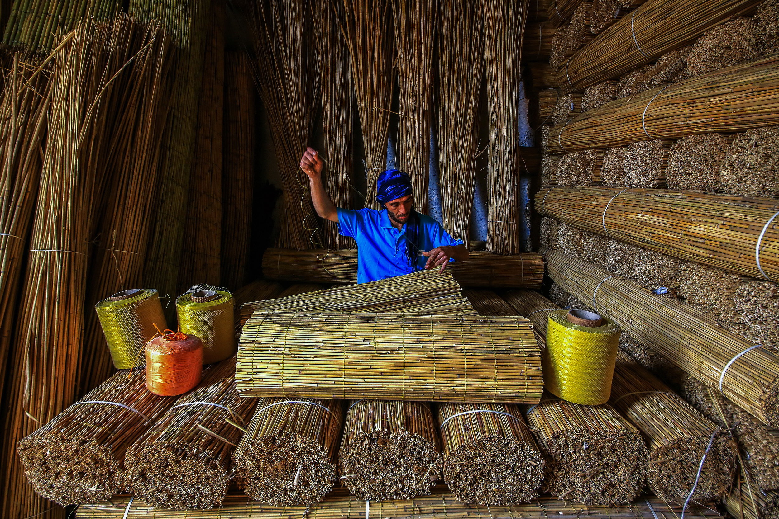 Ummu Kandilcioglu, Bulrush