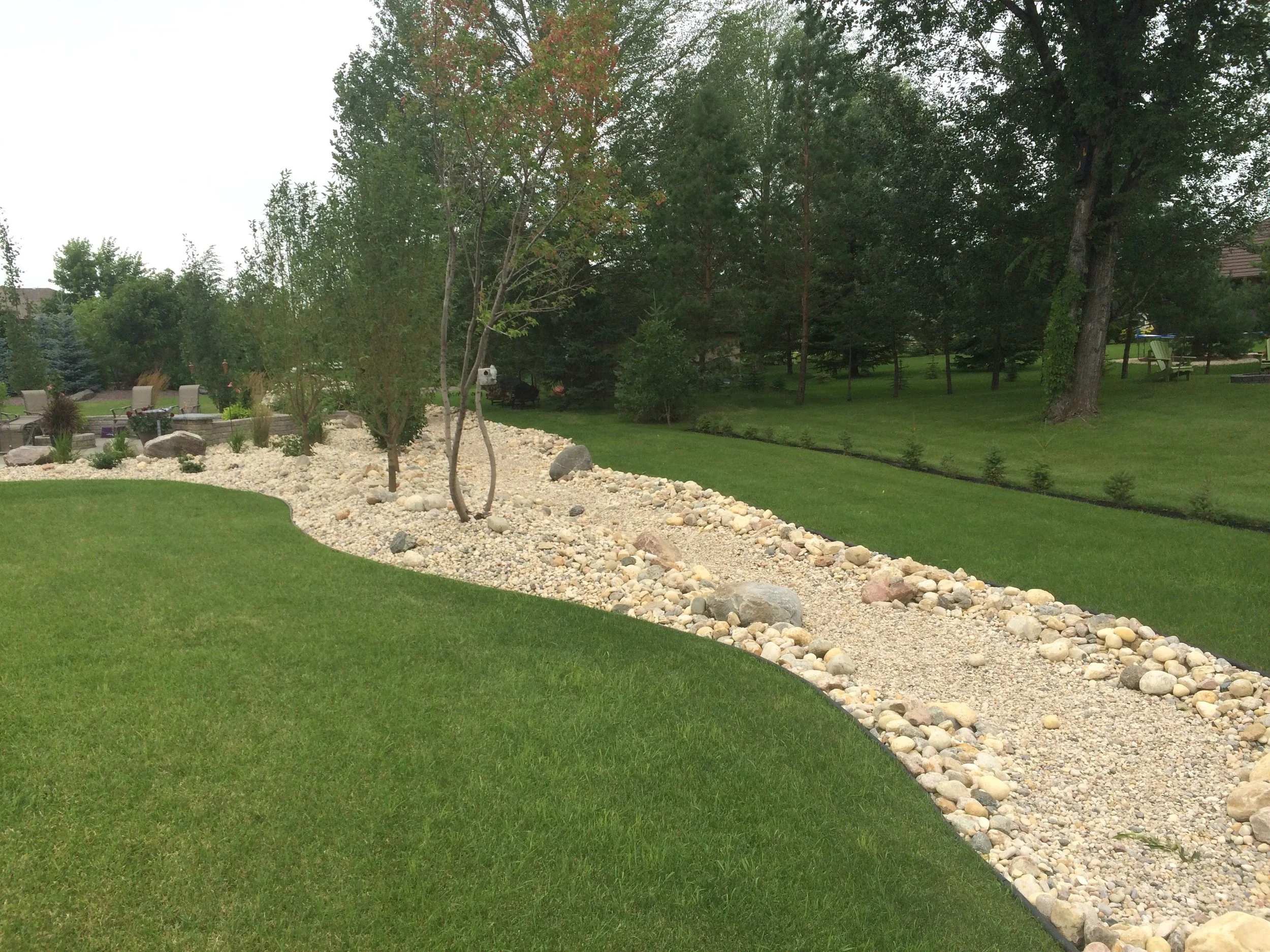 A landscaped backyard with a curved grassy lawn, a dry creek bed made of small and large rocks, and several trees surrounded by other greenery.