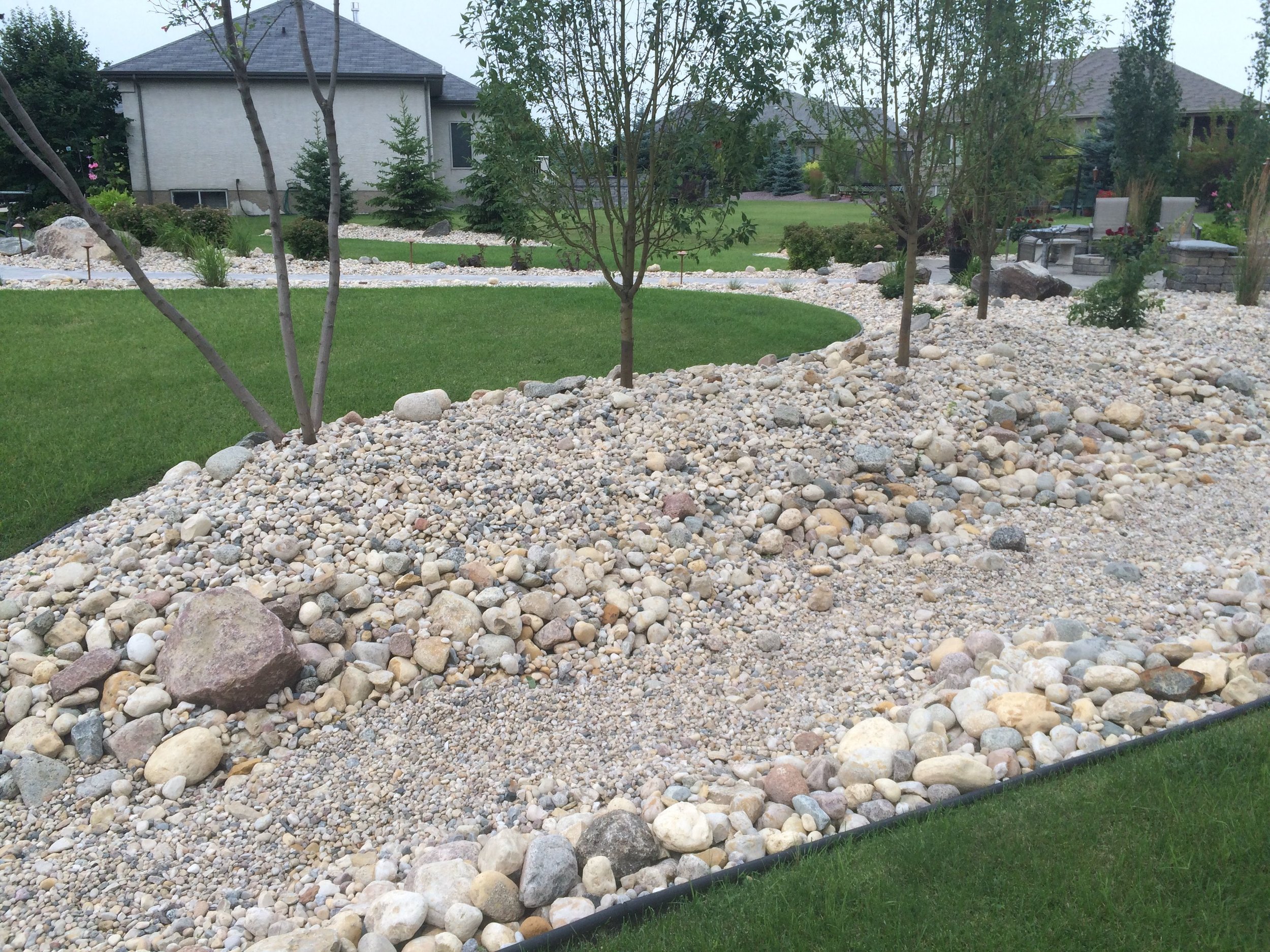 A landscaped backyard garden with several small trees, a grassy lawn, and a rock-bordered dry creek bed filled with various smooth, rounded stones and pebbles.