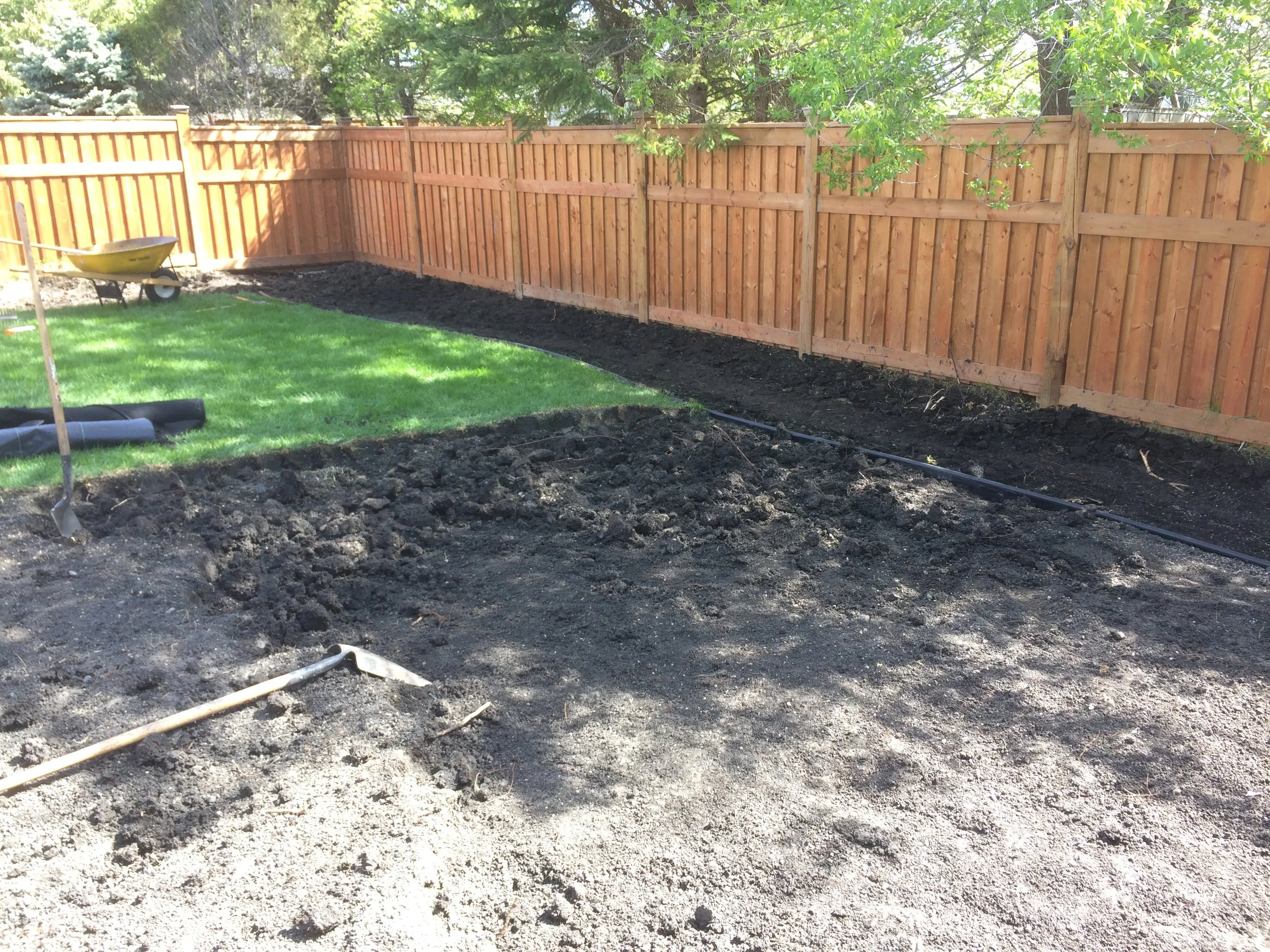 A backyard with a green lawn and a new wooden fence, with a section of earth prepared for landscaping or gardening.