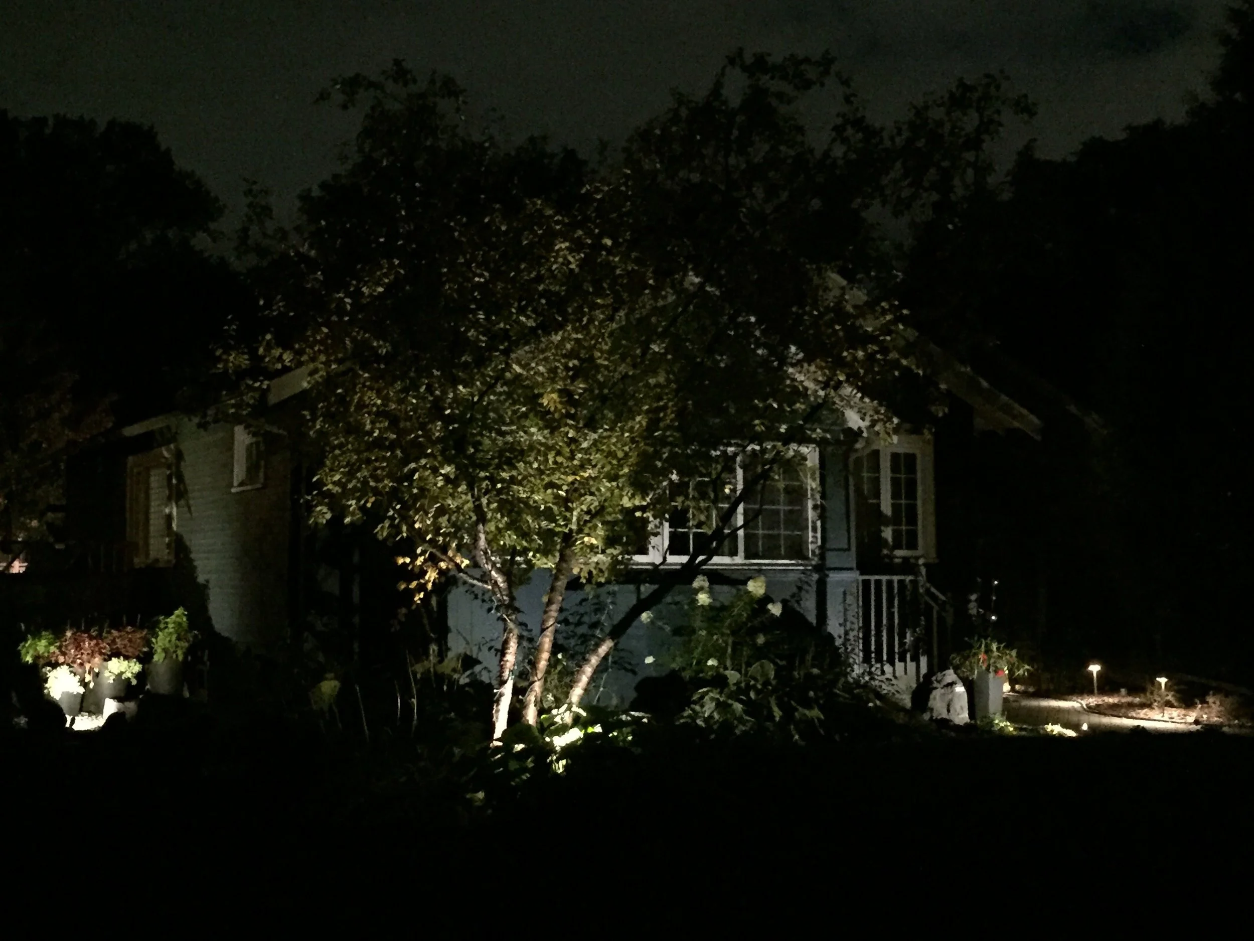 Nighttime scene of a house with a tree illuminated by exterior lighting, with flowers and garden lights in the front yard.