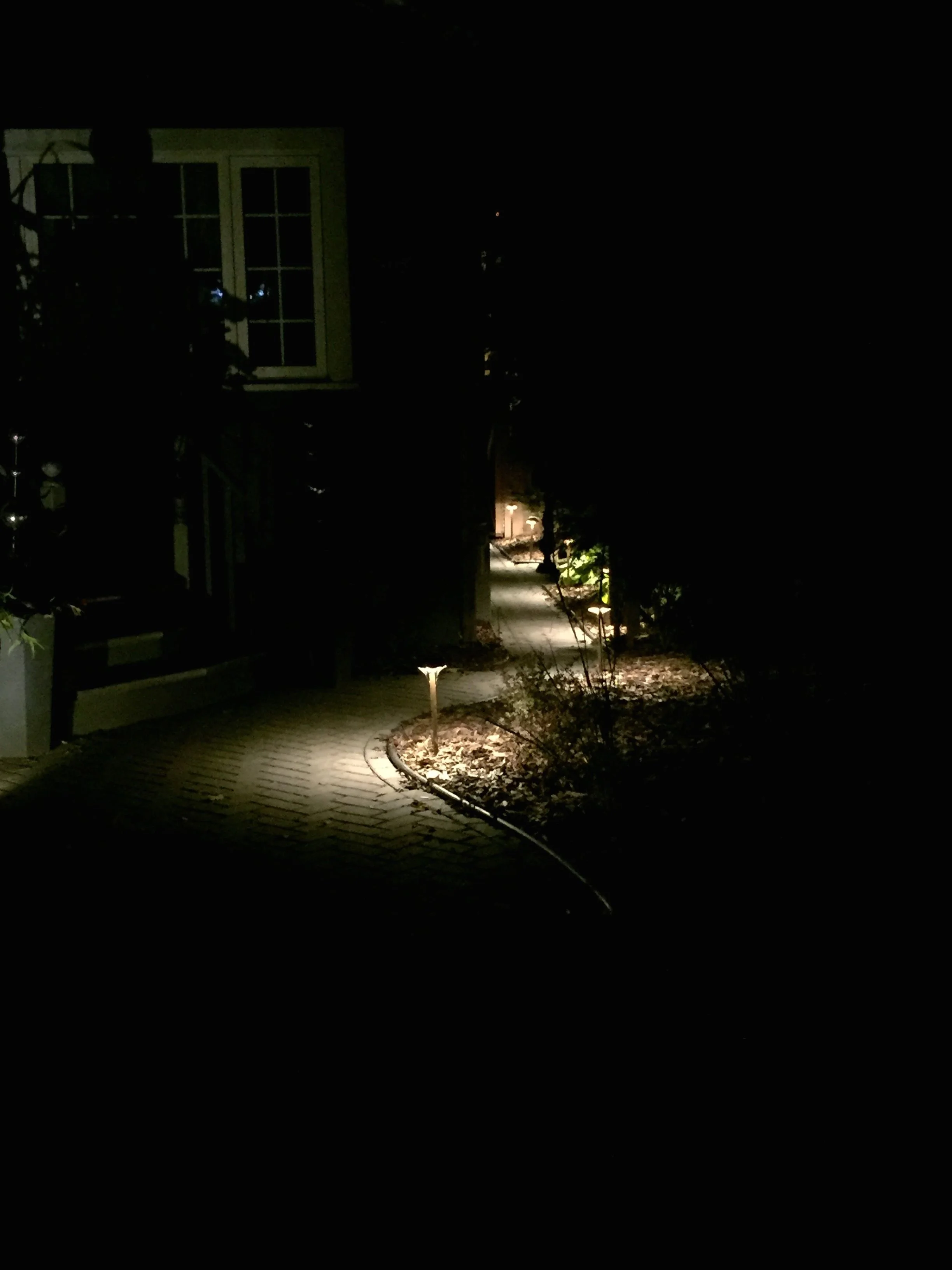 A dimly lit outdoor pathway at night with small ground lights lining the walking path, leading past bushes and trees, near a house with windows and a side door.