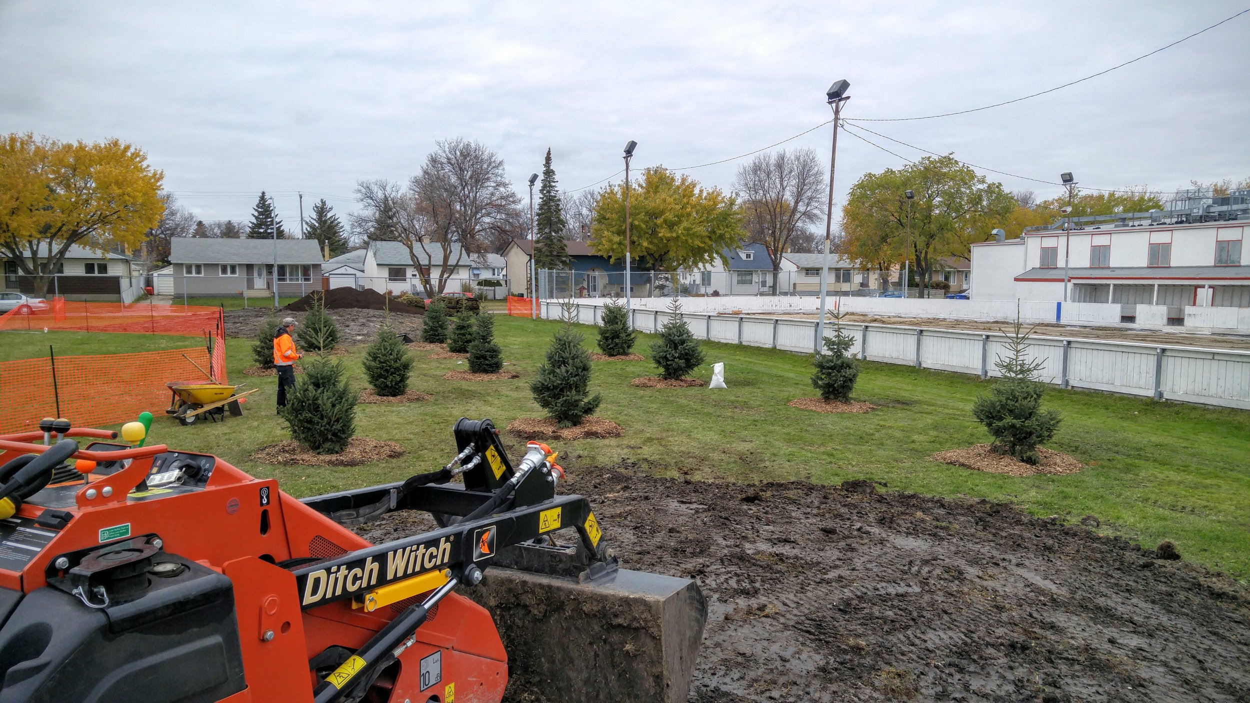 A landscape view of a yard with a small tree planting project underway. There is construction equipment in the foreground and a worker in an orange safety vest. The yard is sectioned off with orange fencing, and there are several small trees planted 