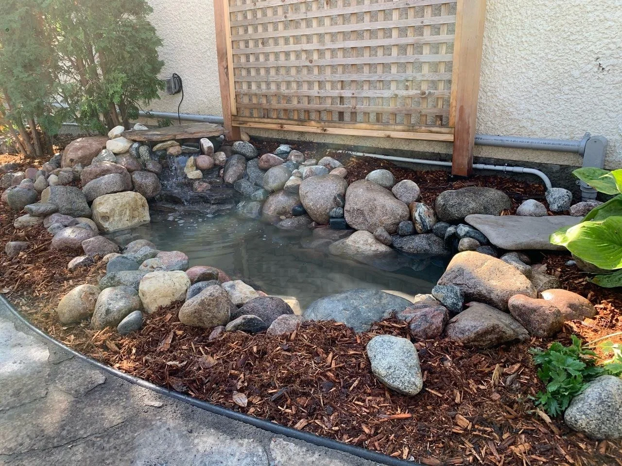 Small backyard pond with rocks and water, surrounded by mulch, with plants and a wooden fence in the background.