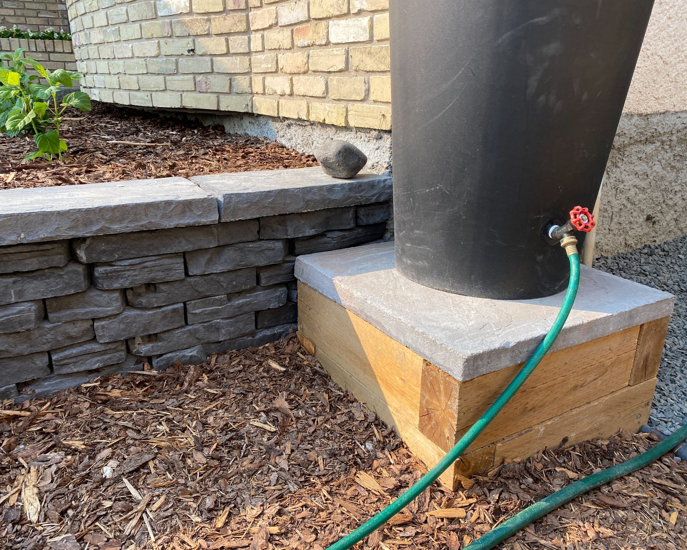  Rain barrel stand made from cedar timbers and a slab. 