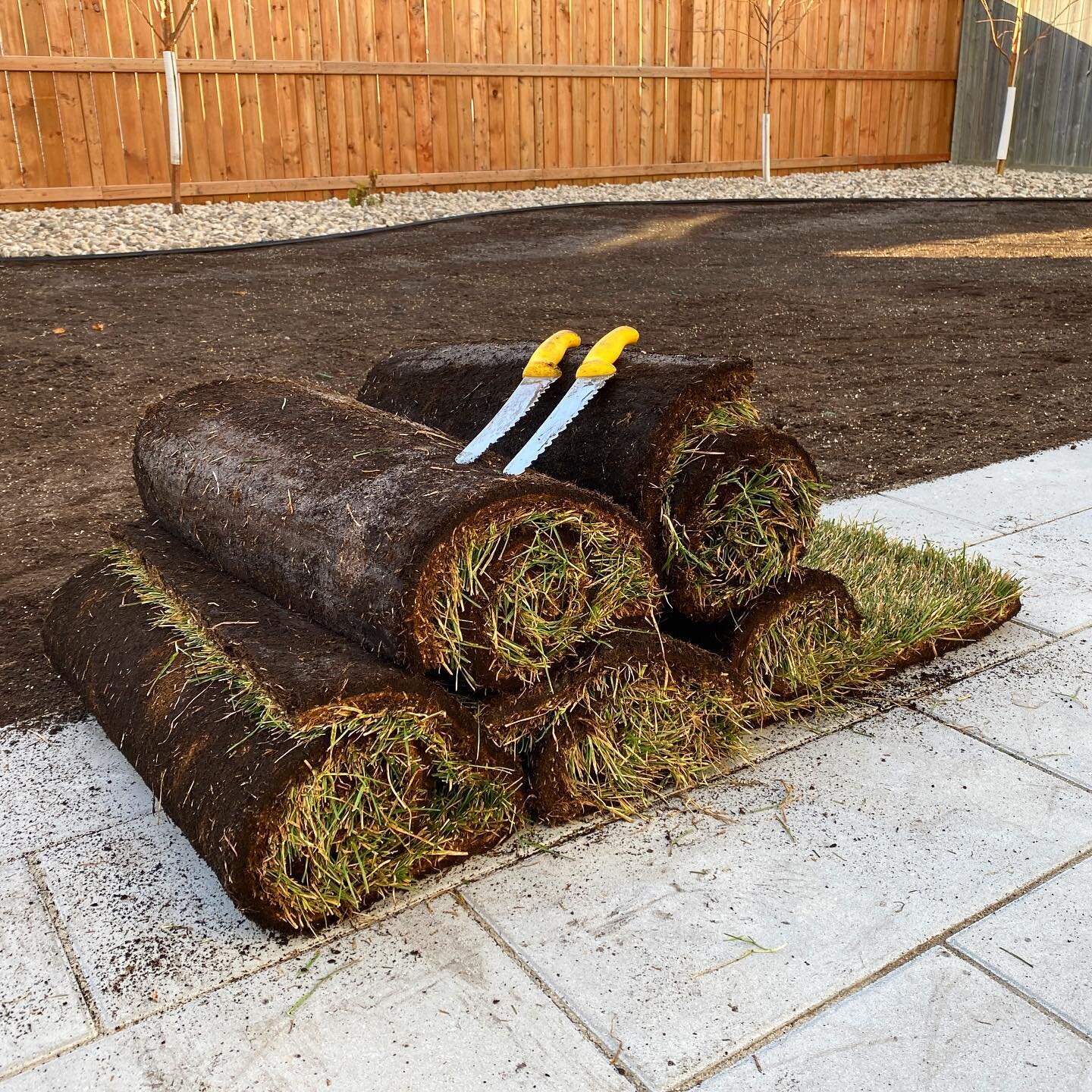 Let&rsquo;s roll. 🔪 #sod #winnipeg #landscaping #winnipeglandscaping #landscapecontractor #softscape #lawn #grass #turf #kentuckybluegrass #sodknife #breadknife #backyard #manitoba