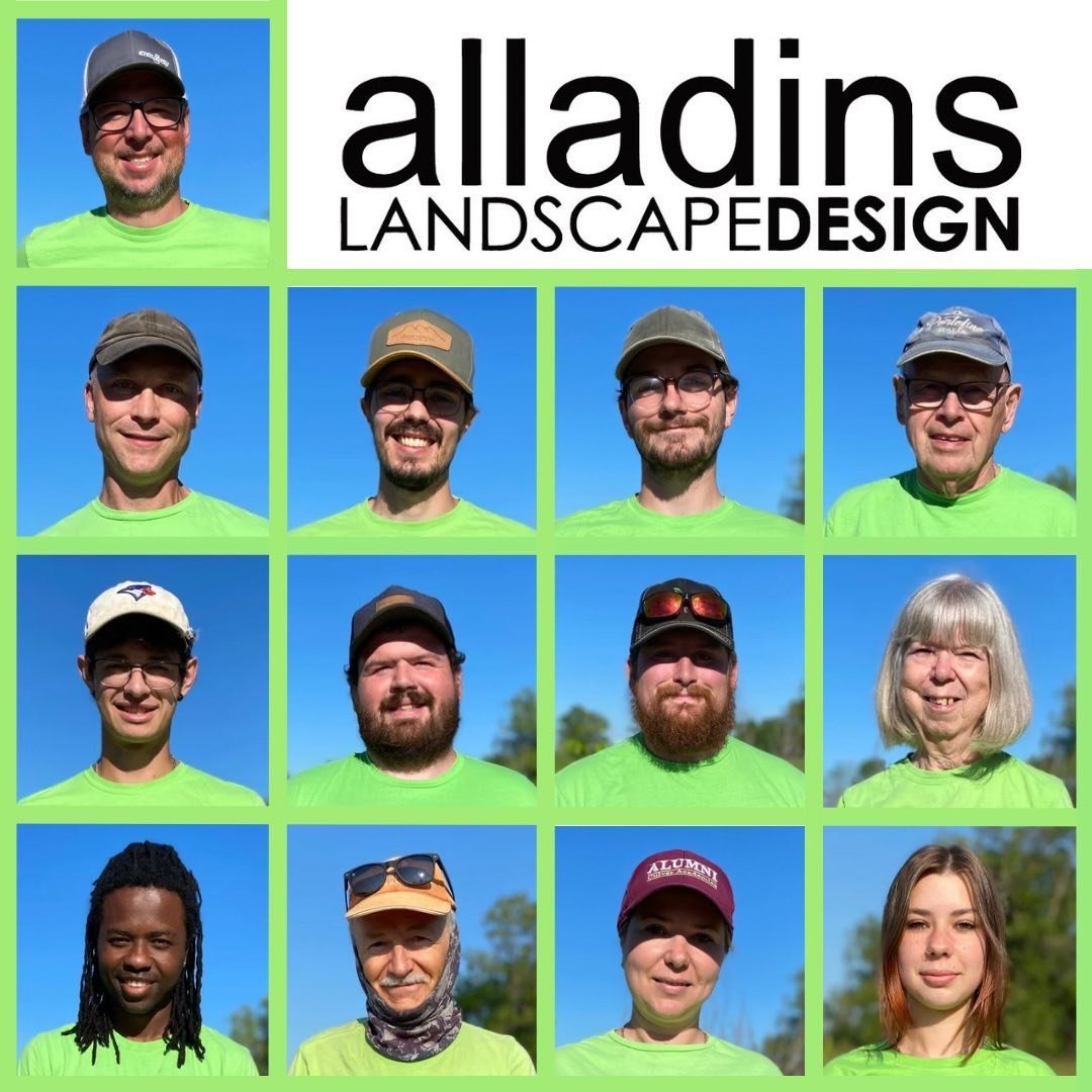 Happy Holidays from the whole team at Alladins!