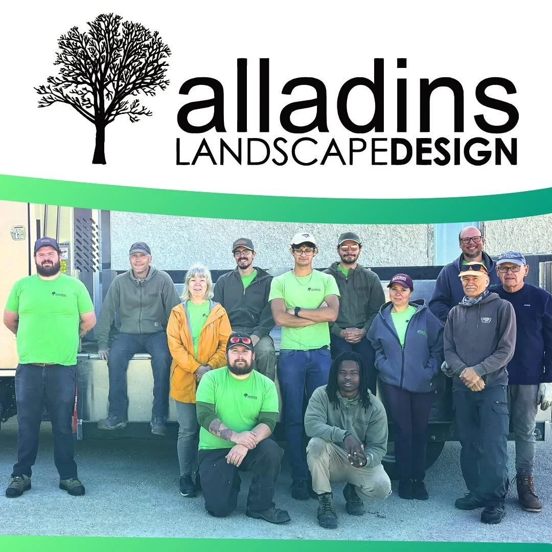 Calm down. It&rsquo;s just a handsome team of landscapers. 🙆&zwj;♂️🙇&zwj;♂️ #winnipeglandscaping #familybusiness #winnipeg #landscaping #landscapecontractor #teamphoto #staff #staffphoto #landscapeconstruction #landscapecontractor #landscapemainten