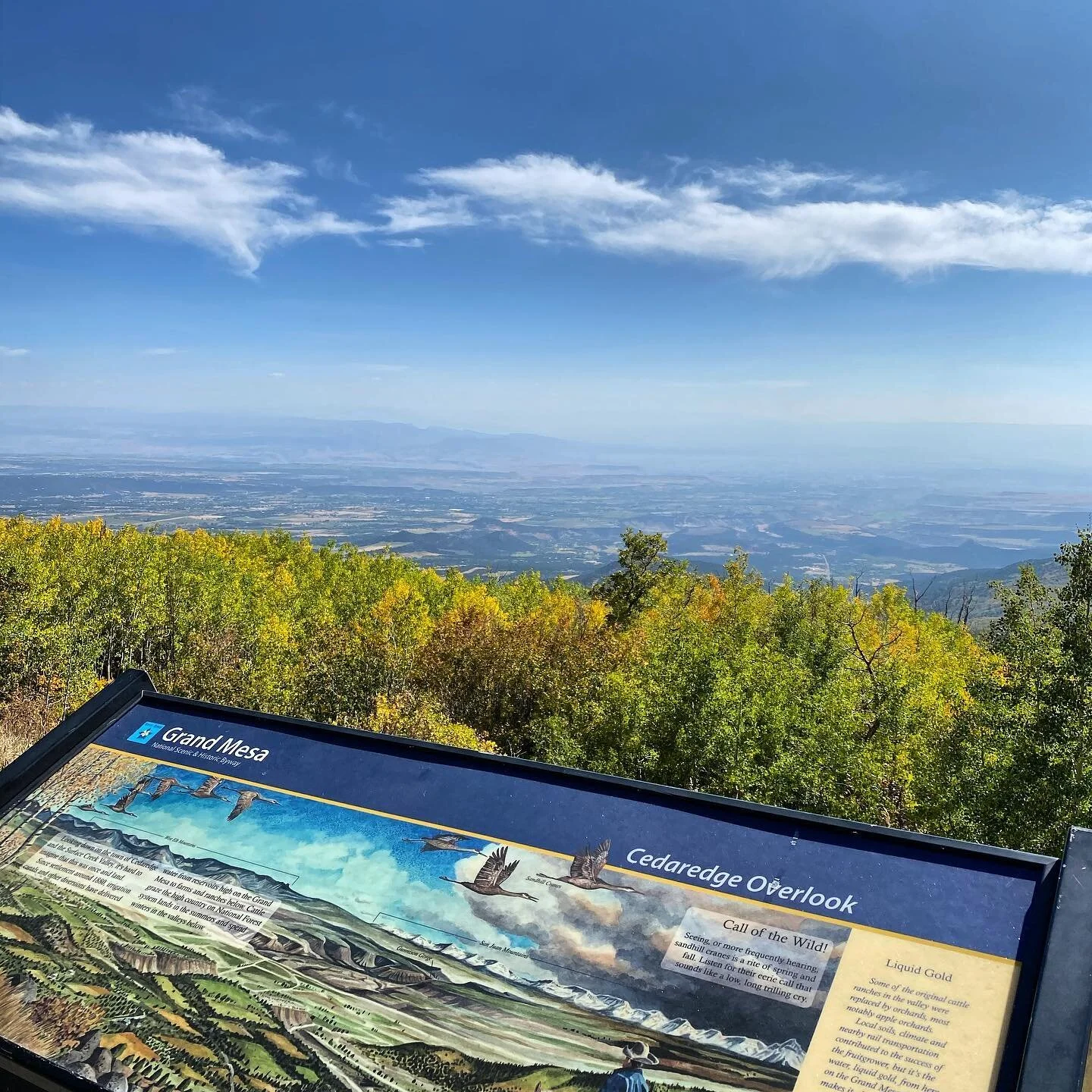 We hope you get out there and enjoy the fall colors this weekend! There&rsquo;s a lot going on around the area for you to enjoy, click the link in our bio to find out more!

#cedaredge #cedaredgecolorado #colorado #visitcolorado #visitcedaredge #gatewaytothegrandmesa #deltacounty #visitdeltacounty #itsfall #itsfallyall #colorweekend #colorsunday #coloradotourism #grandmesa #grandmesabyway #scenicbyway #coloradoscenicbyway