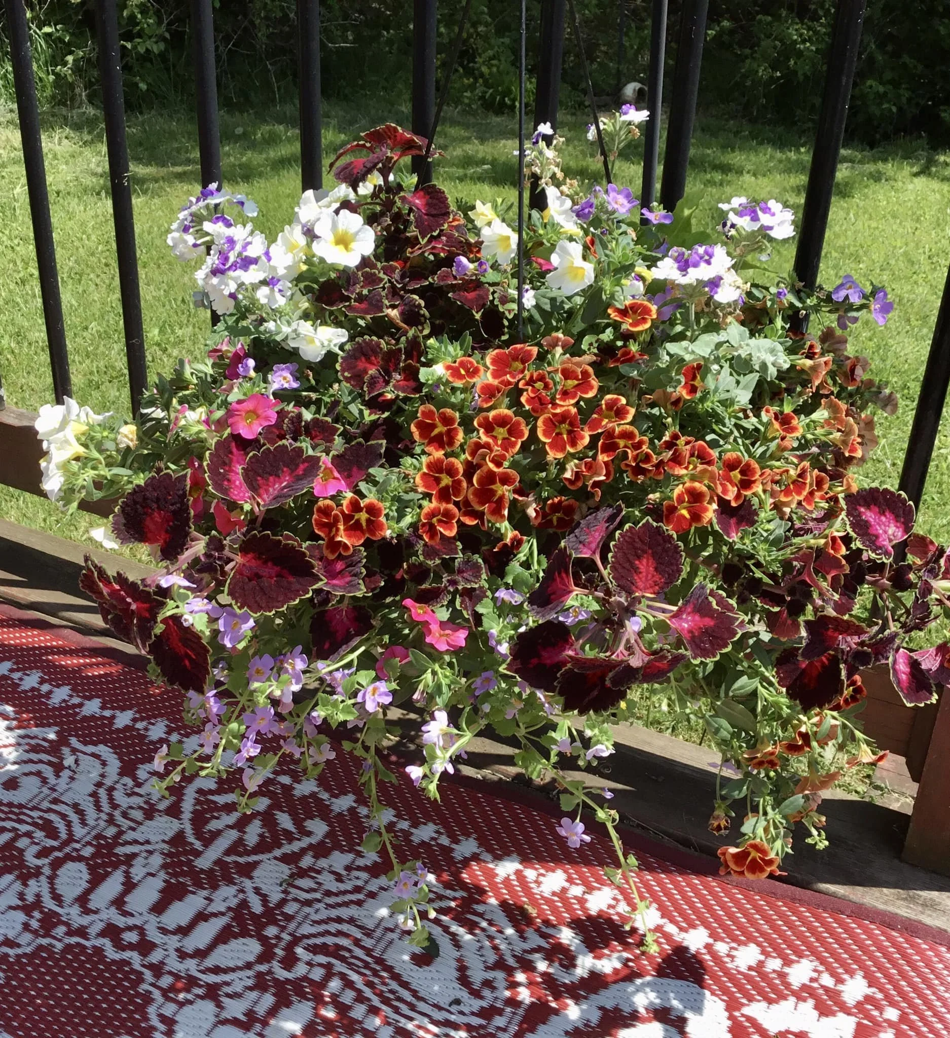 hanging basket.jpg