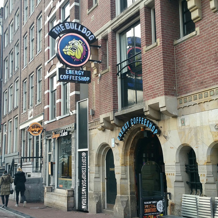 The Bulldog Energy Coffeeshops Of Amsterdam