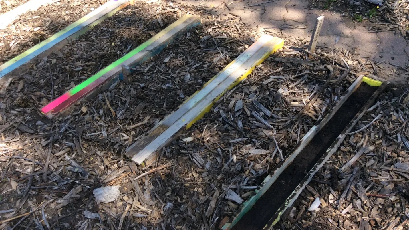 Wood frames protecting seeds from the mulch