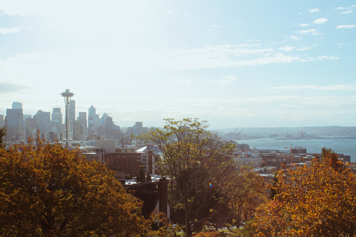 sittinginourtree-seattle-14.jpg