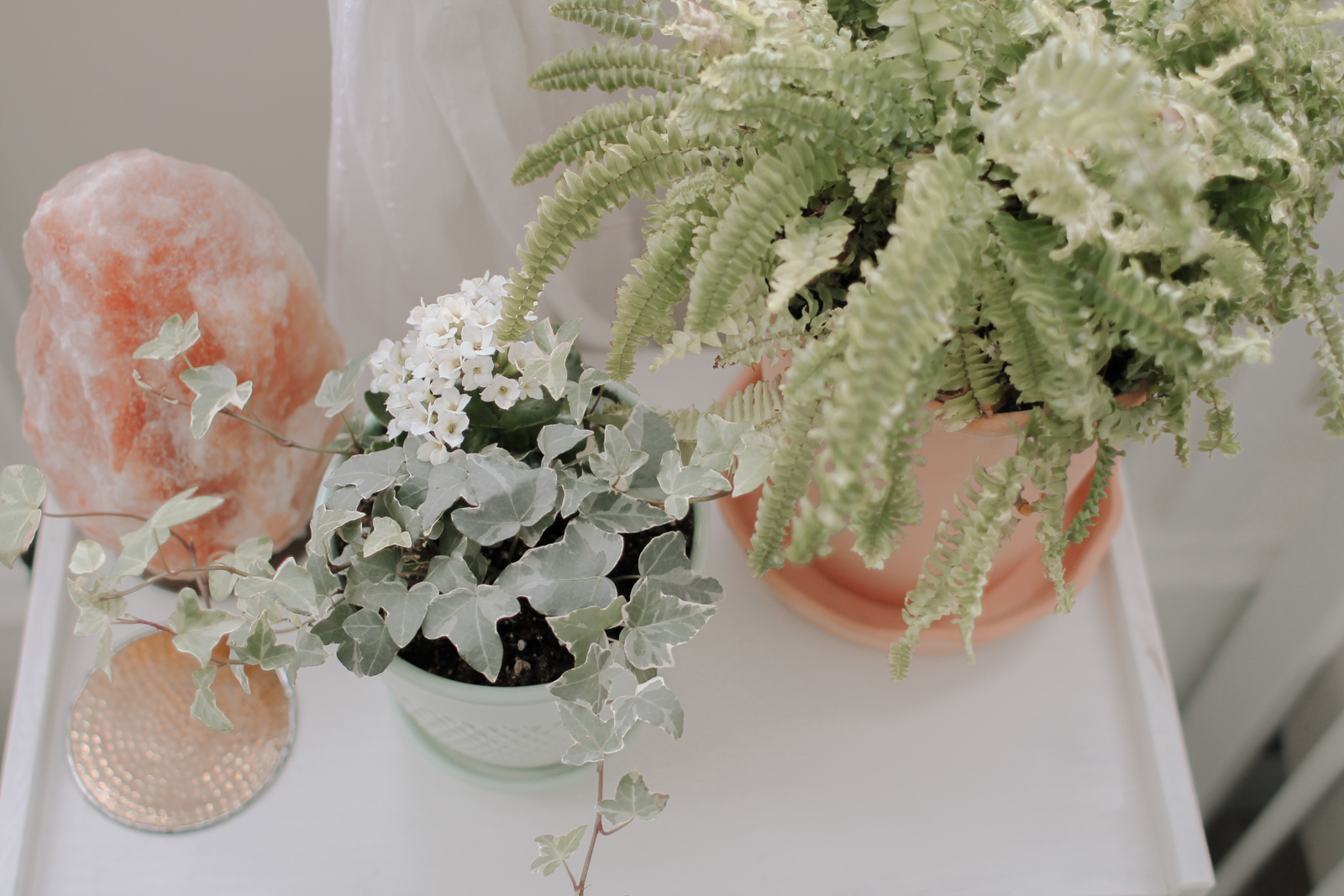 nursery7.jpg