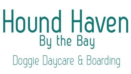 Hound Haven By the Bay