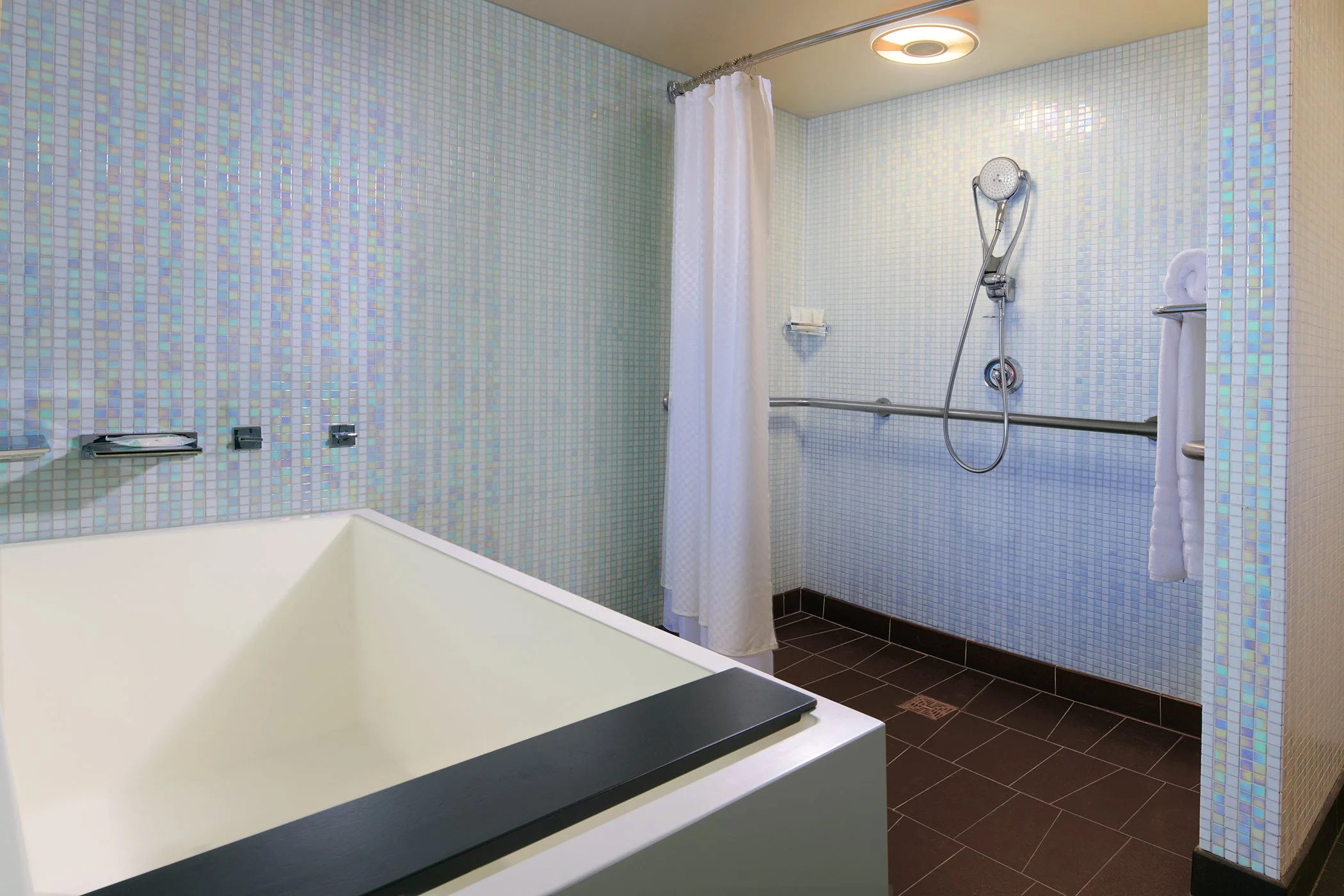 WI_DALGW_ADA_Walkin_Shower.jpg