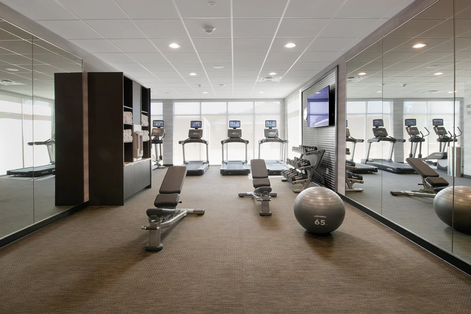 FFI_DALFE_Fitness copy 2.jpg