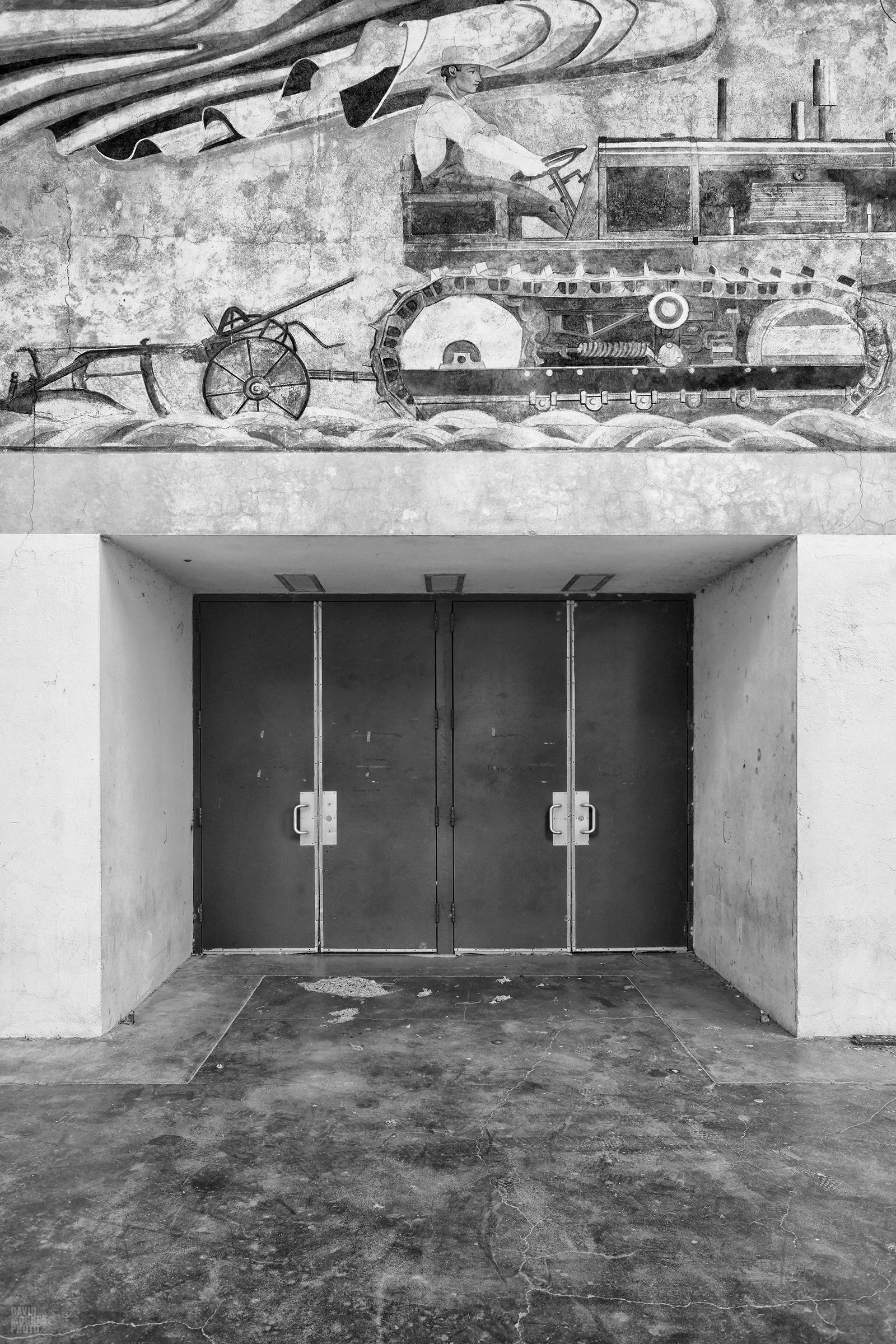 MCG_8282 BW © David McGhee.jpg