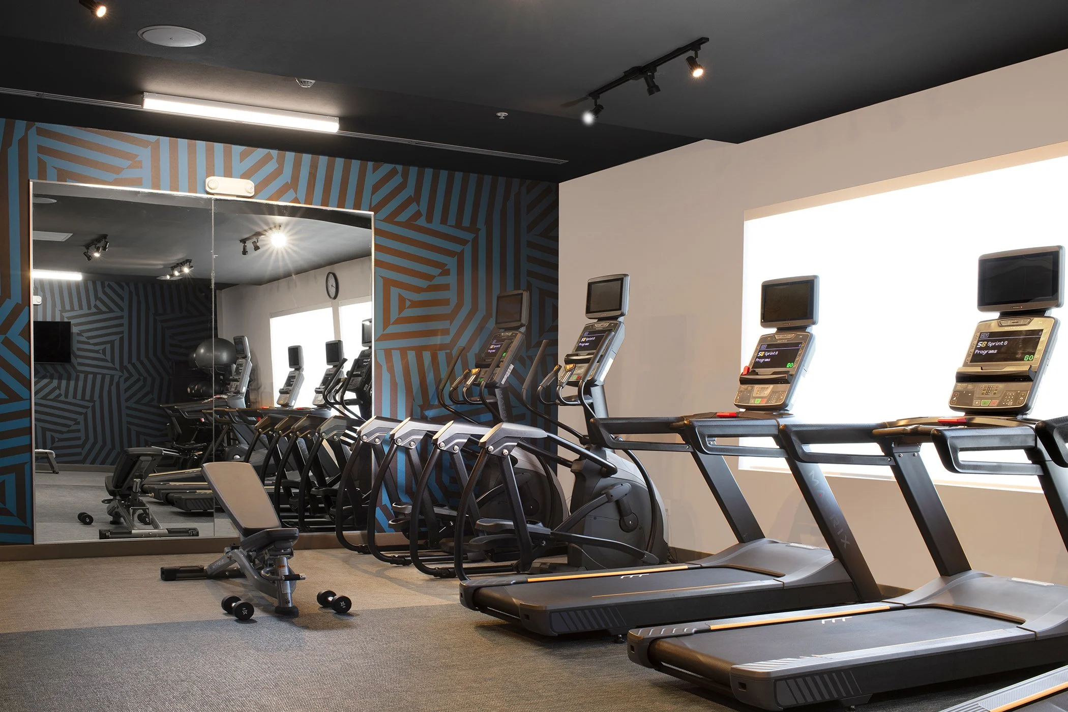 MFEAL_1_Fitness_1 copy.jpg