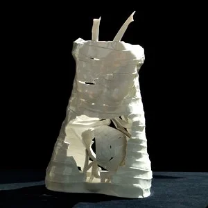 Organic Remains