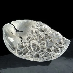 Coral Fish