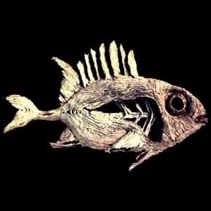 Skeleton Fish