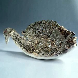 Coral Fish