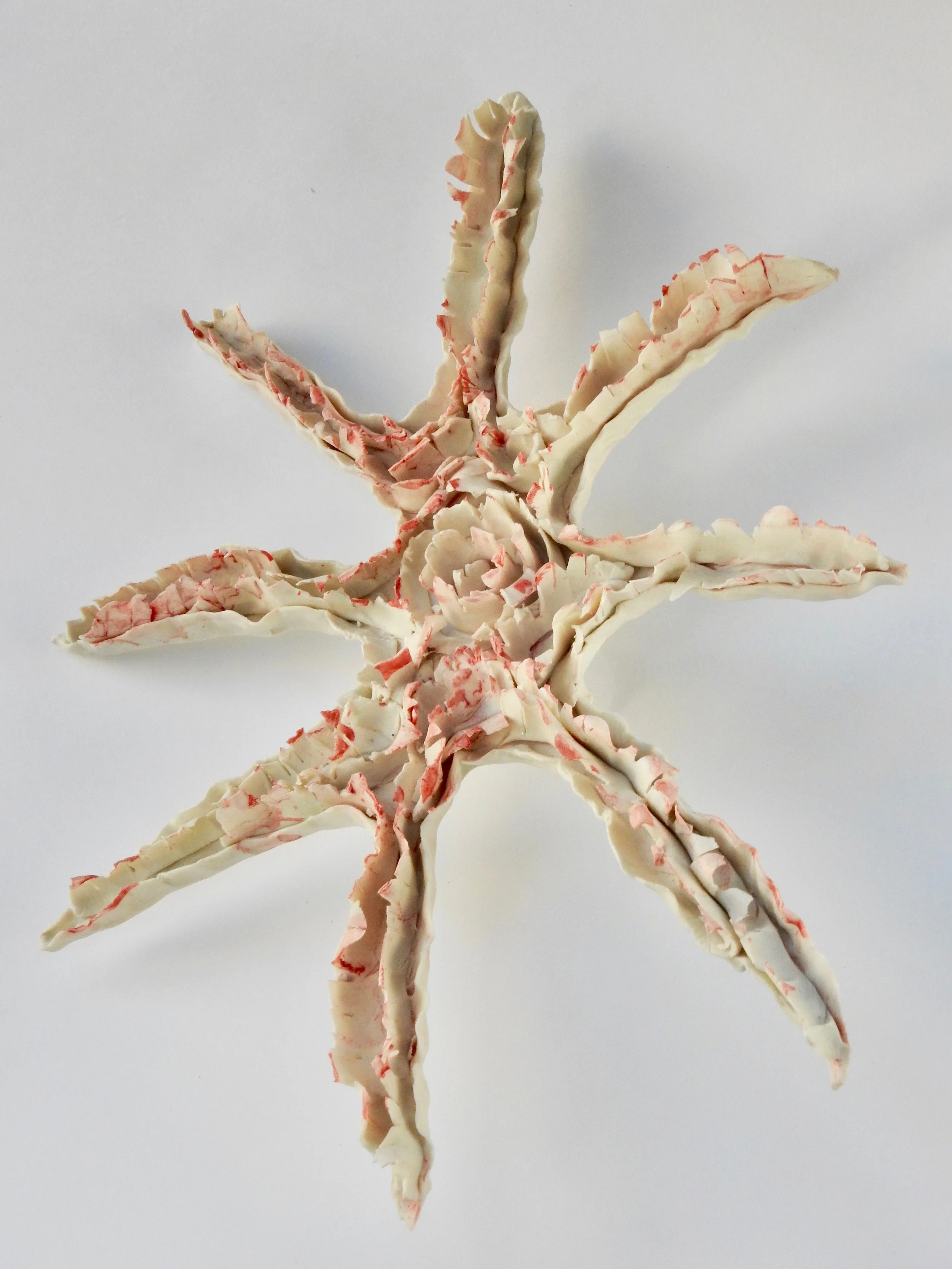 Starfish II
