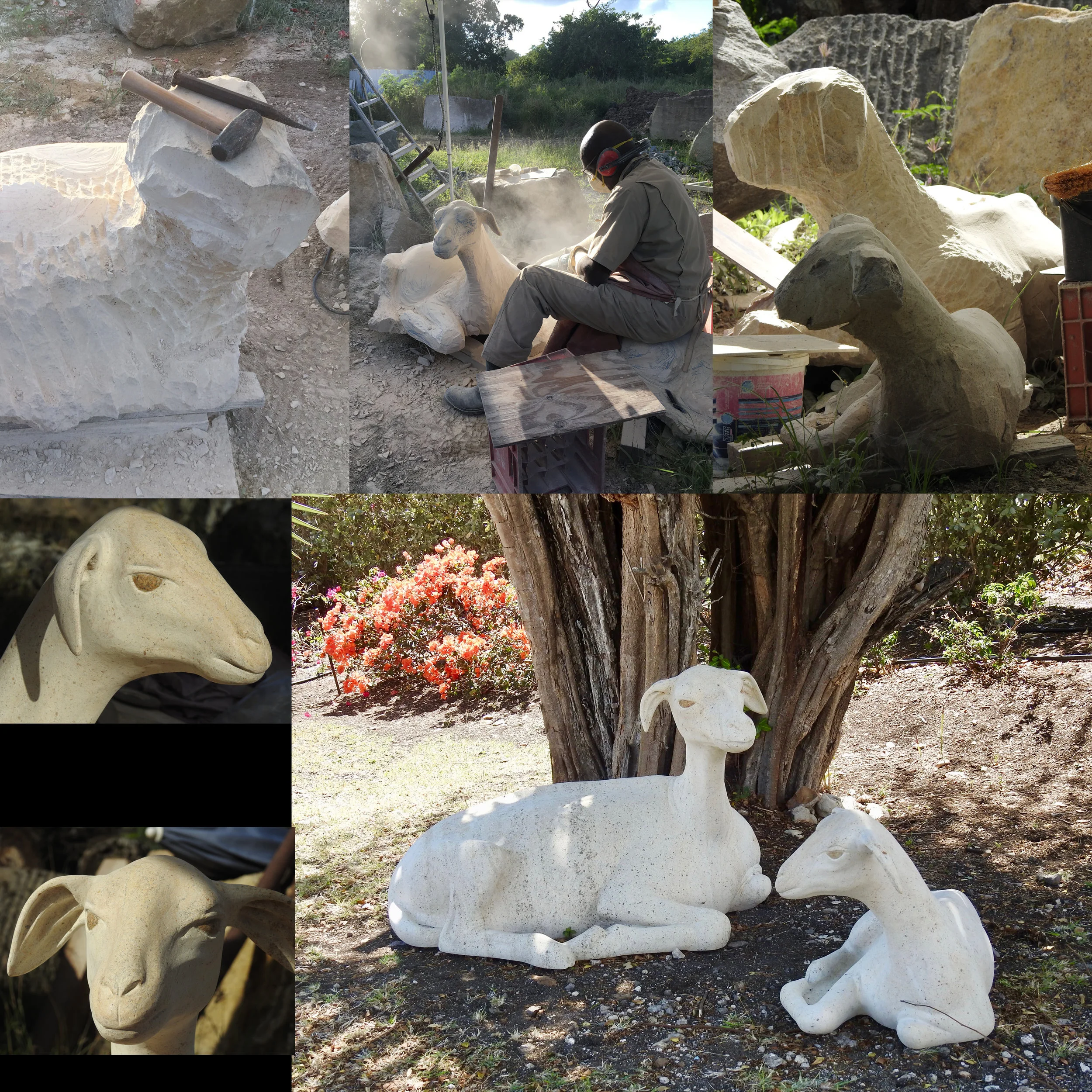 Sheep comp.jpg