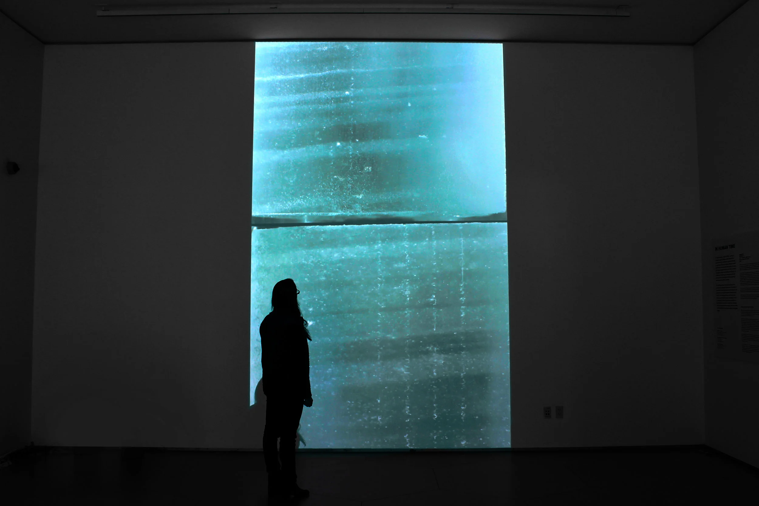 Weil live film with viewer.jpeg