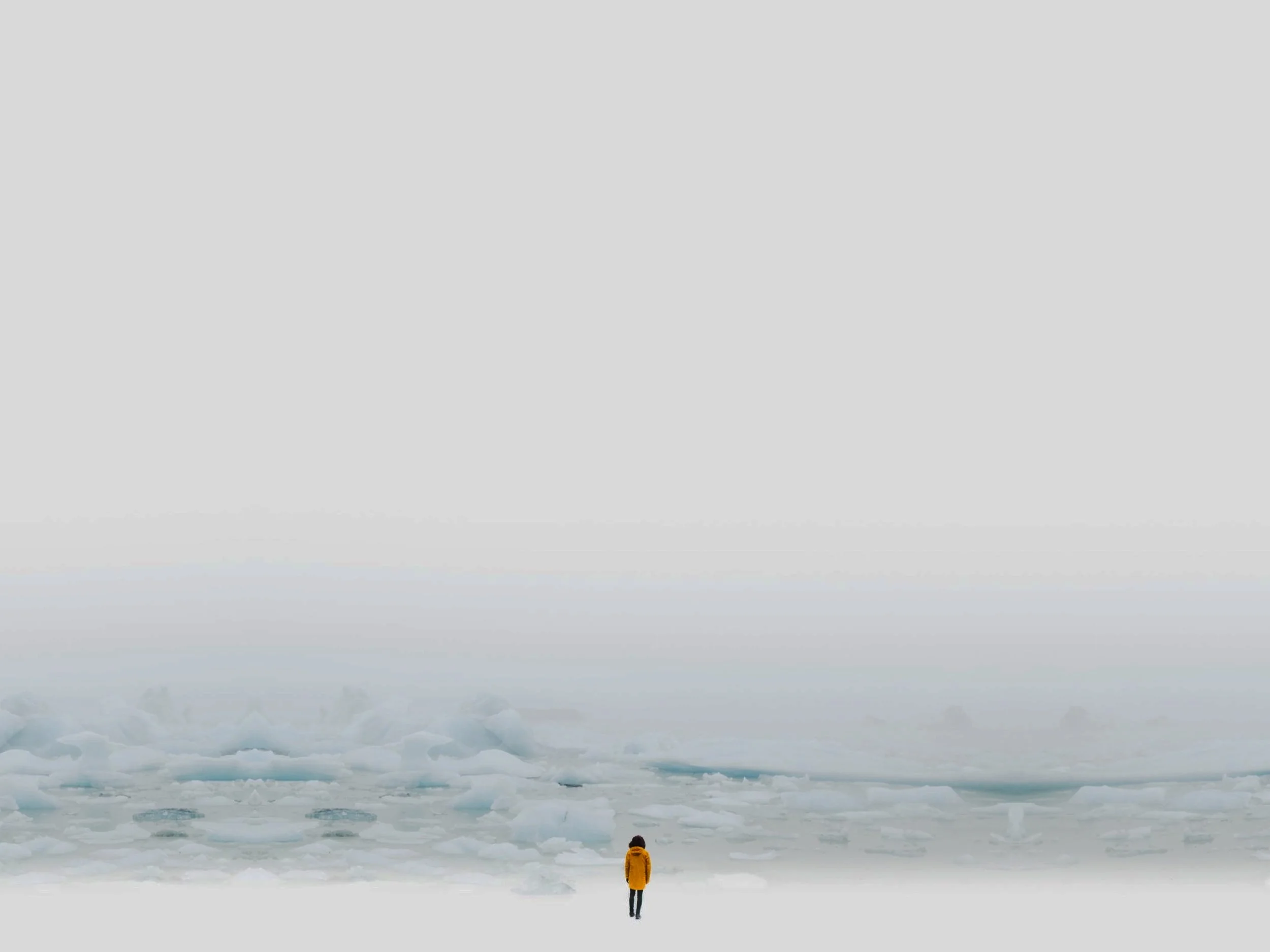 ColinRex Yellow Wide.jpeg